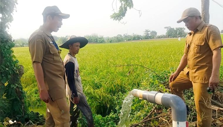 Petugas pertanian Kabupaten Tangerang meninjau pengairan sawah untuk mendukung mitigasi kekeringan lahan pertanian.